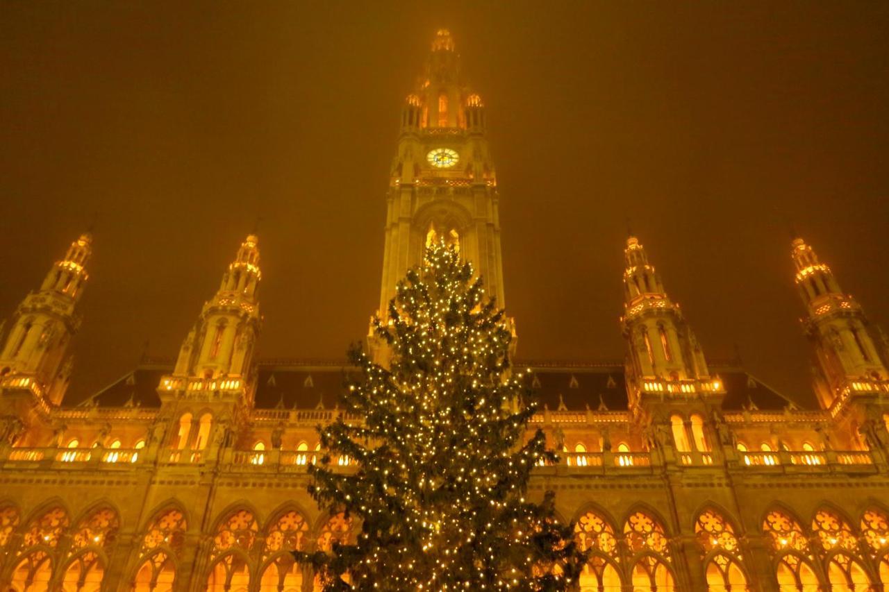 Vienna Home エクステリア 写真
